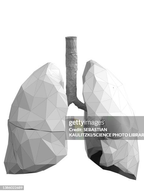 lungs, abstract illustration - emphysema stock illustrations