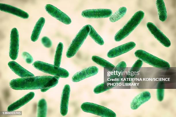 citrobacter bacteria, illustration - standardized test stock illustrations
