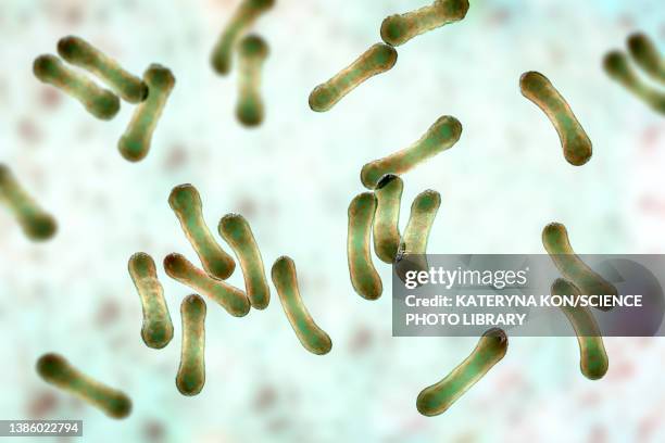 corynebacterium diphtheriae, illustration - diphtheria stock illustrations