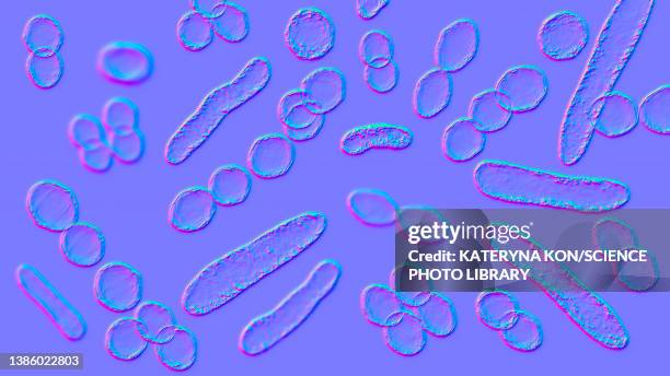 bacteria of different shapes, illustration - salmonella bacteria stock-grafiken, -clipart, -cartoons und -symbole