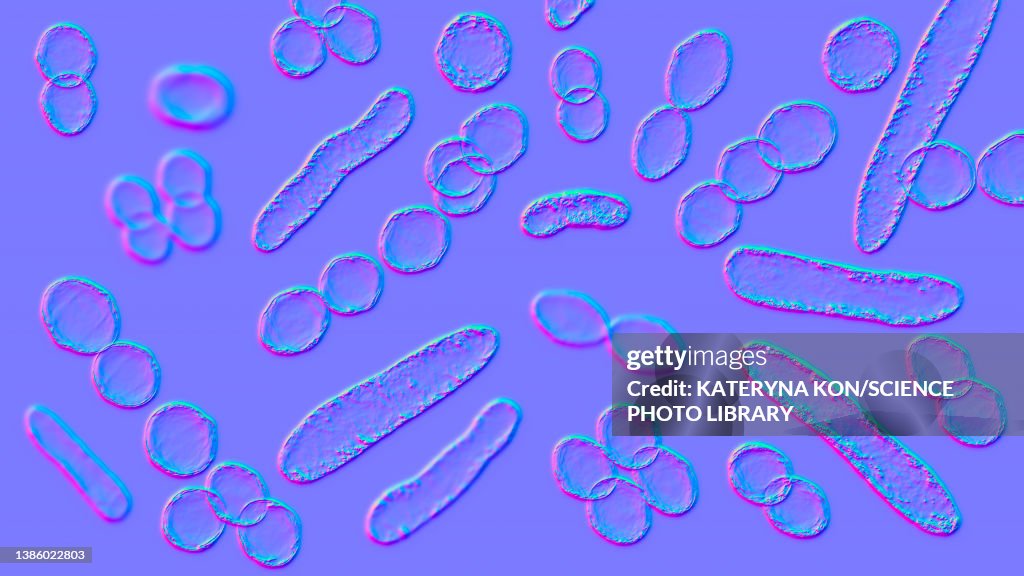 Bacteria of different shapes, illustration