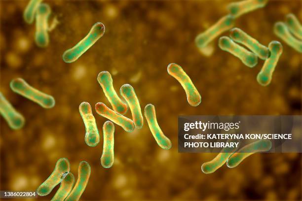 corynebacterium diphtheriae, illustration - corynebacterium diphtheriae stock illustrations
