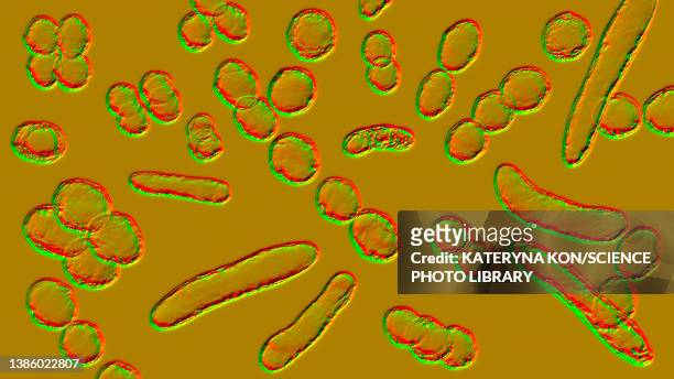 bacteria of different shapes, illustration - 動物の細胞小器官点のイラスト素材／クリップアート素材／マンガ素材／アイコン素材