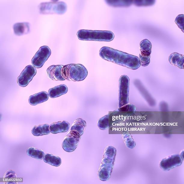 ilustrações de stock, clip art, desenhos animados e ícones de bacteroides sp. bacteria, illustration - úlcera de pressão