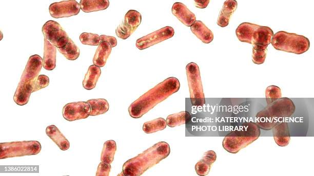 ilustrações de stock, clip art, desenhos animados e ícones de bacteroides sp. bacteria, illustration - úlcera de pressão