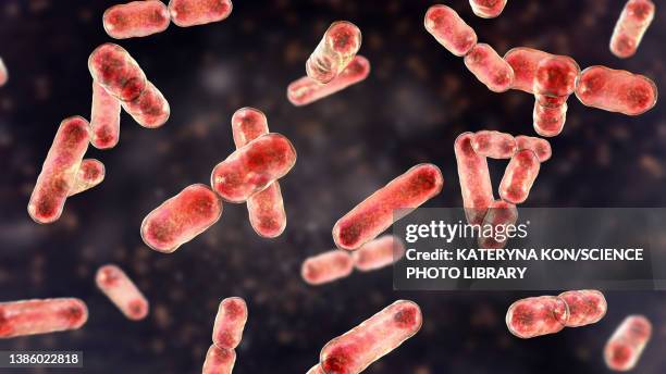 ilustrações de stock, clip art, desenhos animados e ícones de bacteroides sp. bacteria, illustration - úlcera de pressão