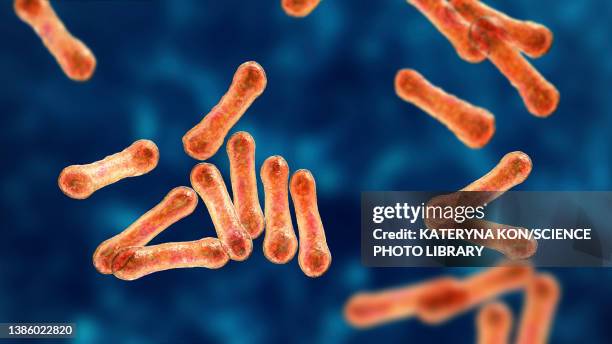 corynebacterium diphtheriae, illustration - diphtheria stock illustrations