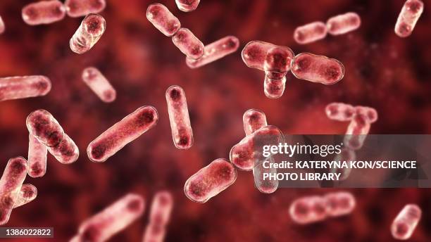 bacteroides sp. bacteria, illustration - anaerobic digestion stock illustrations