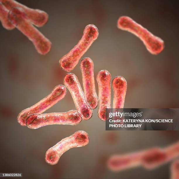 ilustraciones, imágenes clip art, dibujos animados e iconos de stock de corynebacterium diphtheriae, illustration - corynebacterium diphtheriae