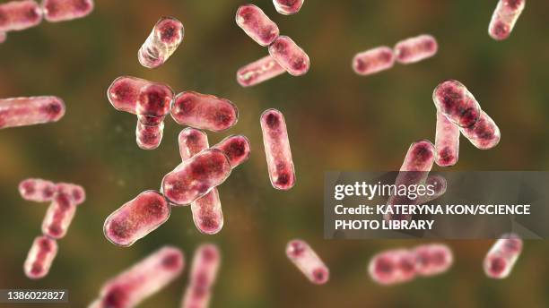 ilustrações de stock, clip art, desenhos animados e ícones de bacteroides sp. bacteria, illustration - úlcera de pressão