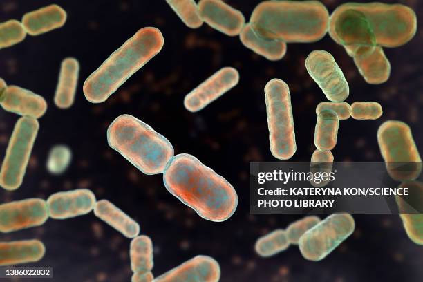 ilustrações de stock, clip art, desenhos animados e ícones de bacteroides sp. bacteria, illustration - úlcera de pressão