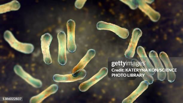 corynebacterium diphtheriae, illustration - corynebacterium diphtheriae stock illustrations