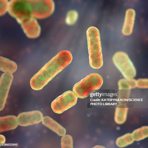 bacteroides sp. bacteria, illustration - anaerobic digestion stock illustrations
