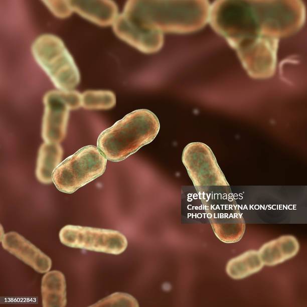 ilustrações de stock, clip art, desenhos animados e ícones de bacteroides sp. bacteria, illustration - úlcera de pressão