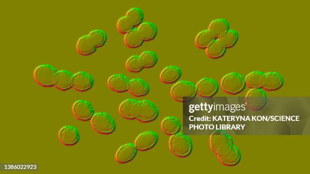 lactococcus bacteria, illustration - buttermilk stock illustrations