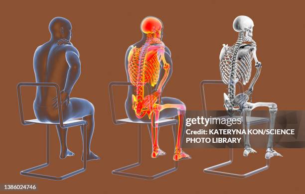 back pain, conceptual illustration - human backbone stock illustrations
