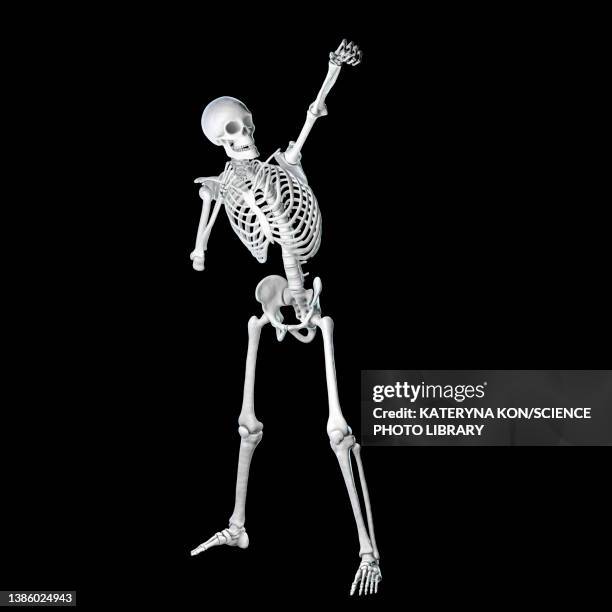 Boxer Skeleton See Through Boxers Photos and Premium High Res Pictures - Getty Images