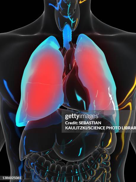 painful lung, illustration - emphysema stock illustrations