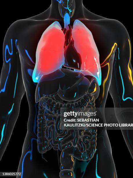 painful lung, illustration - man black background stock illustrations