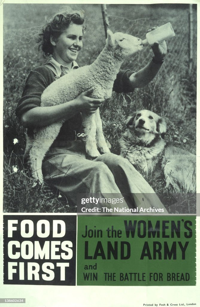 Food Comes First