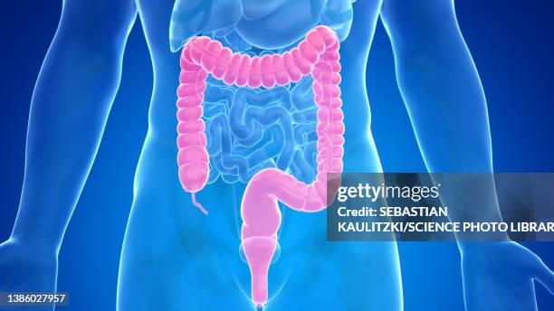 Ulcerative Colitis Man Photos and Premium High Res Pictures - Getty Images