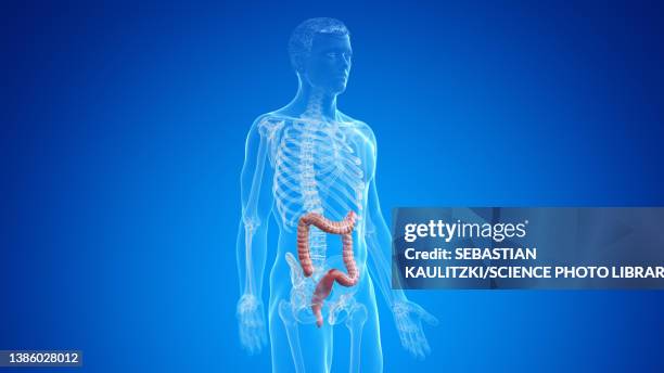 58 Ulcerative Colitis Man Stock Photos, High-Res Pictures, and Images ...