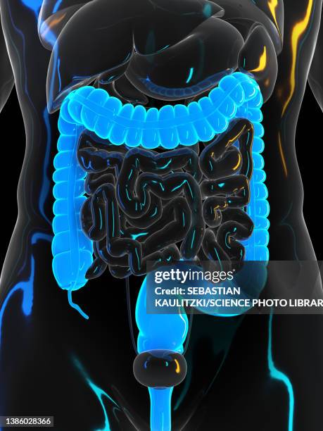 59 Ulcerative Colitis Man Stock Photos, High-Res Pictures, and Images ...