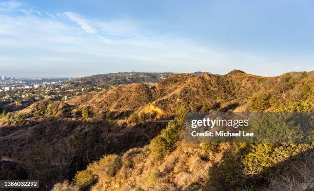 sunny morning landscape view from griffith park in los angeles, california - hollywood hills los angeles bildbanksfoton och bilder