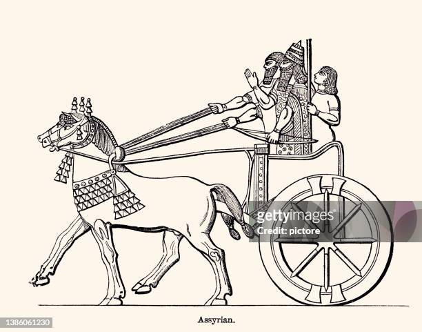 assyrian chariot  (xxxl with lots of details) - chariot stock illustrations
