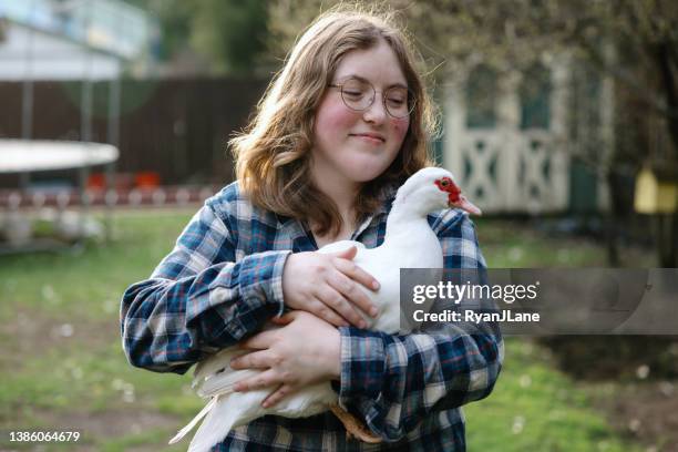 young woman feeding pet duck - muscovy duck stock pictures, royalty-free photos & images