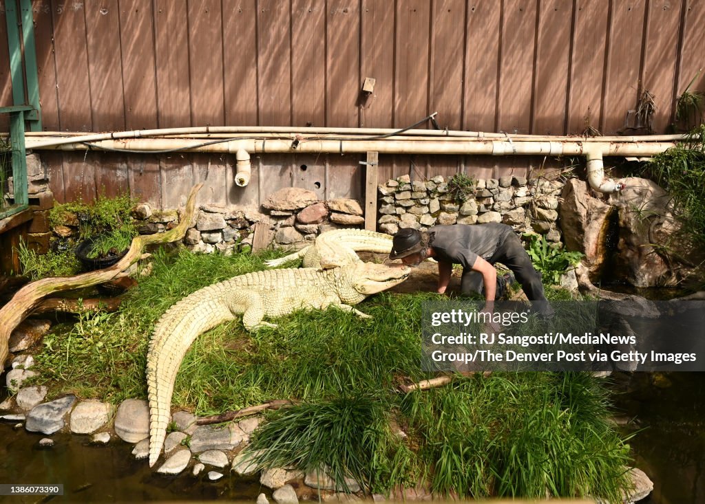 Colorado Gators and Reptile Park