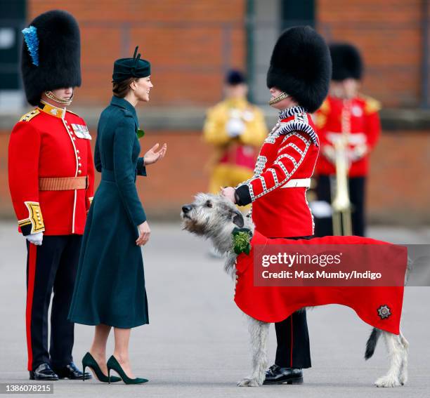 Catherine, Duchess of Cambridge presents Irish Wolf Hound 'Turlough Mor' , regimental mascot of the Irish Guards, with a sprig of shamrock during the...