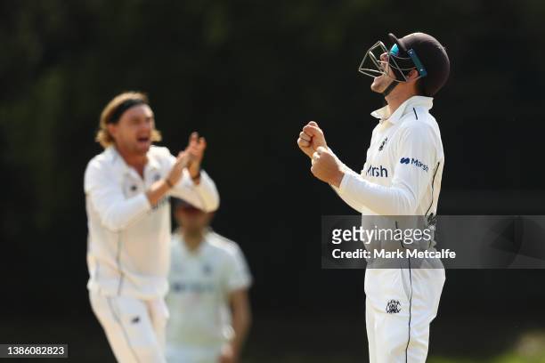 Cameron Bancroft of the Warriors celebrates taking a catch to dismiss Chris Tremain of the Blues off the bowling of Corey Rocchiccioli of the...