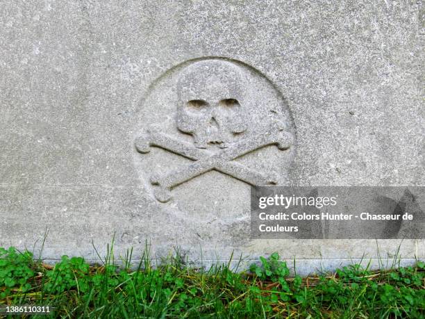 skull and crossbones carved on a grave and grass ground in brussels - lápide imagens e fotografias de stock