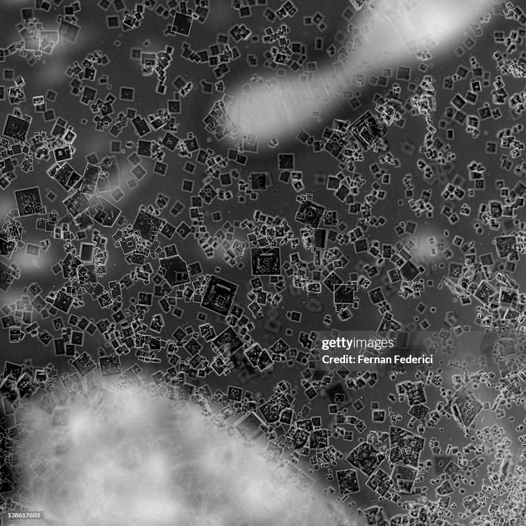 Soy sauce crystals
