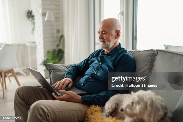 senior man sitting on sofa with his dog and using laptop at home. - using laptop at home stock pictures, royalty-free photos & images