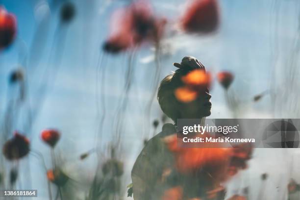 dreamy portrait of a young woman  in poppy field. - uncultivated stock pictures, royalty-free photos & images