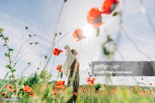 dreamy portrait of a young woman  in poppy field. - women in harmony fotografías e imágenes de stock