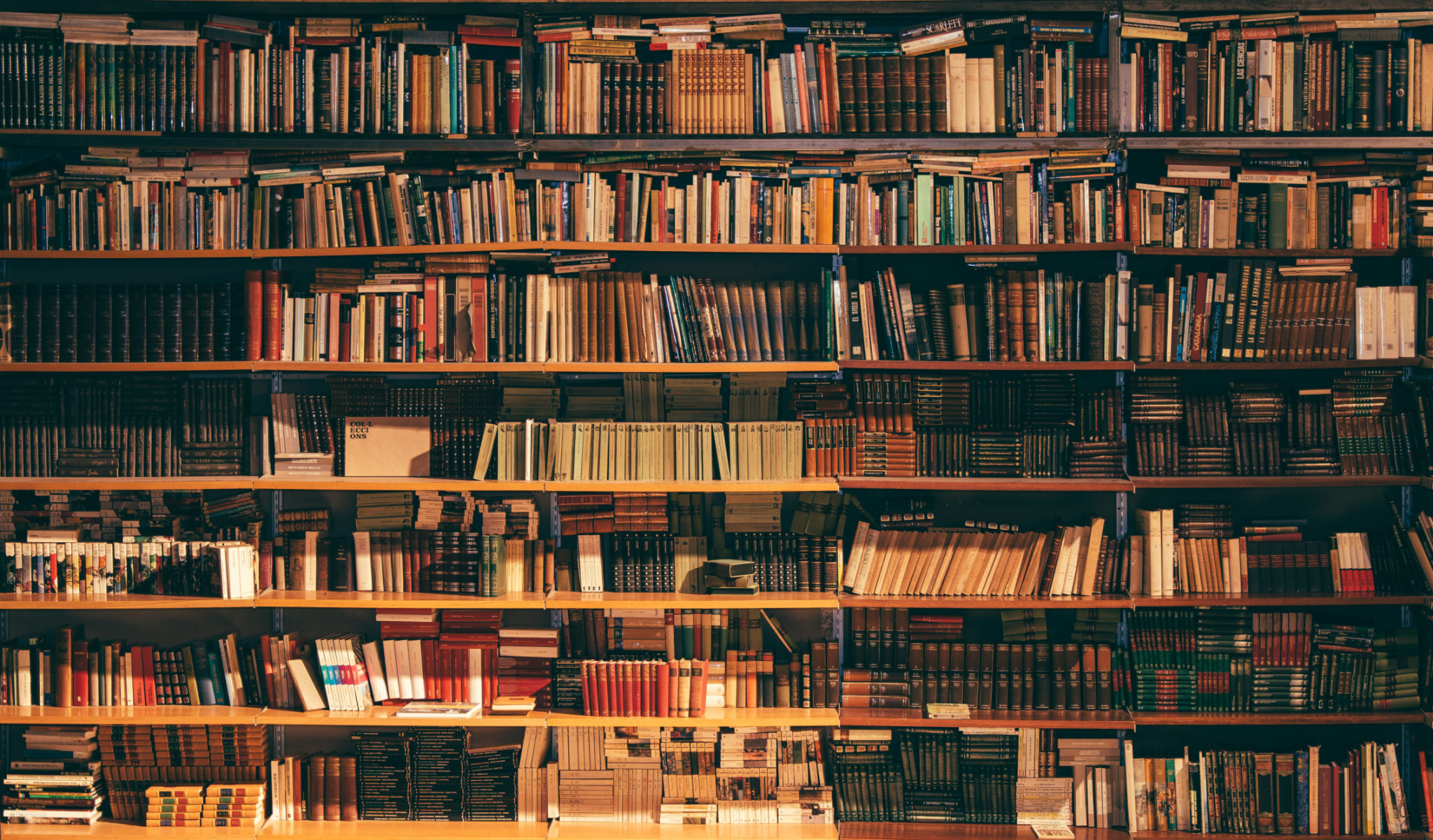 custom bookshelves