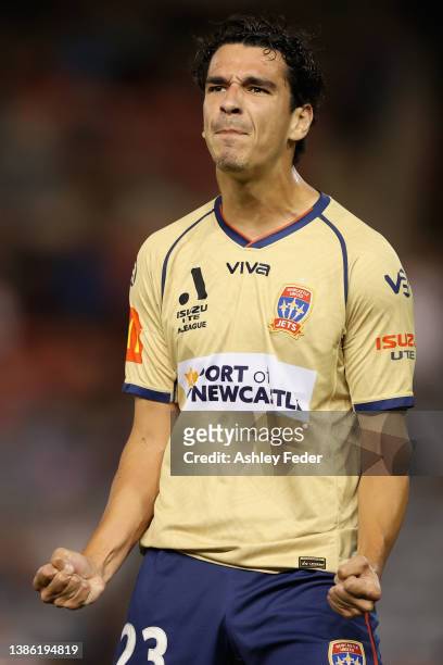 Eli Babalj of the Jets celebrates his goal during the A-League Mens match between Newcastle Jets and Wellington Phoenix at McDonald Jones Stadium, on...