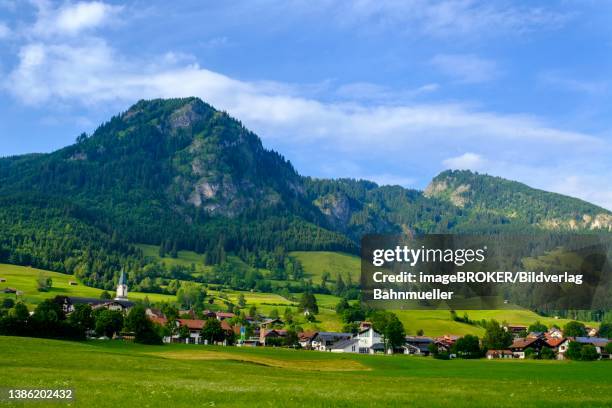 bad hindelang, back hirschberg, oberallgaeu, allgaeu, swabia, germany - bad hindelang stock illustrations