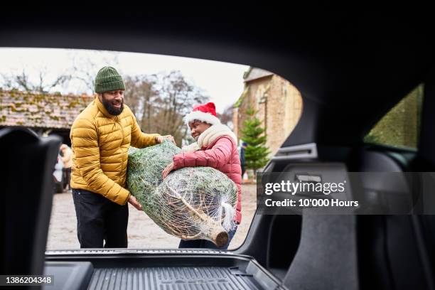 excited black couple struggling to put large real christmas tree into boot of car - real people lifestyle and family foto e immagini stock