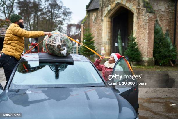 excited black couple strapping christmas tree wrapped in net onto roof of car - knoten lösen stock-fotos und bilder