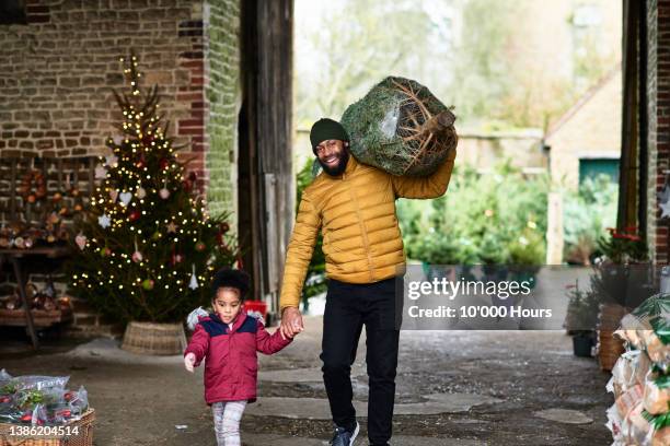 smiling black father holding young daughter's hand carrying real christmas tree on shoulder inside barn - padded jacket 個照片及圖片檔