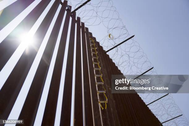 a ladder on the u.s. mexico border wall - border wall immigration stock pictures, royalty-free photos & images
