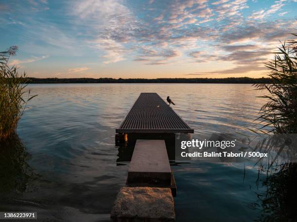 the lakes of tata,scenic view of lake against sky during sunset,tata,hungary - tata hungary stock pictures, royalty-free photos & images