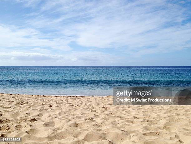 coastal beach - sabbia foto e immagini stock