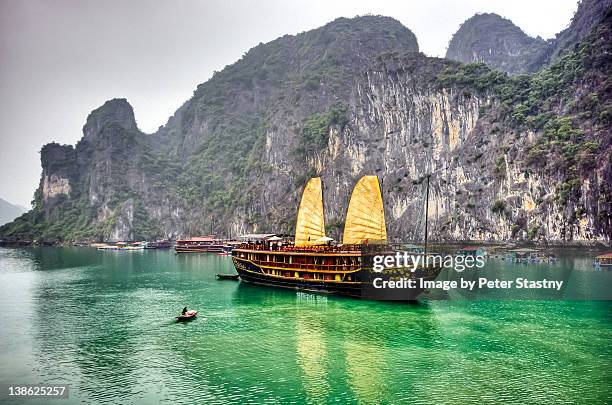 halong bay - halong bay stock pictures, royalty-free photos & images