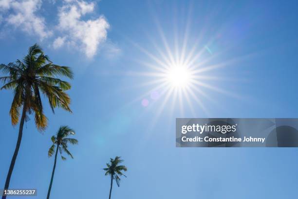 sunburst against clear blue sky - mittag stock-fotos und bilder