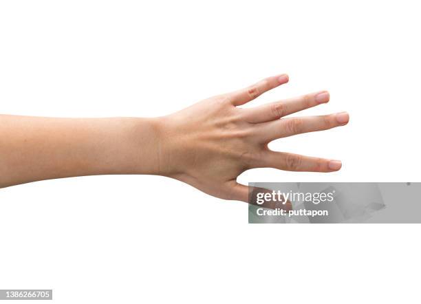 a close up of a woman's hand on a white background, body part on a white background - finger studio close up stock-fotos und bilder